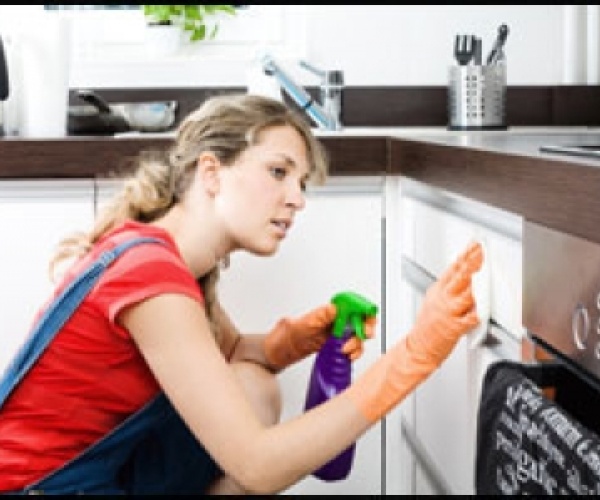 1012013041722_kitchen-cleaners.jpg