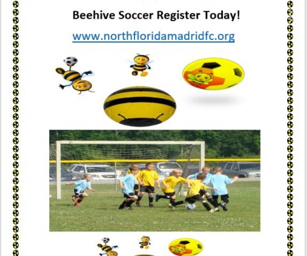 170216104250_beehive-soccer.jpg